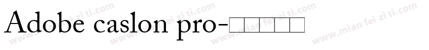 Adobe caslon pro字体转换